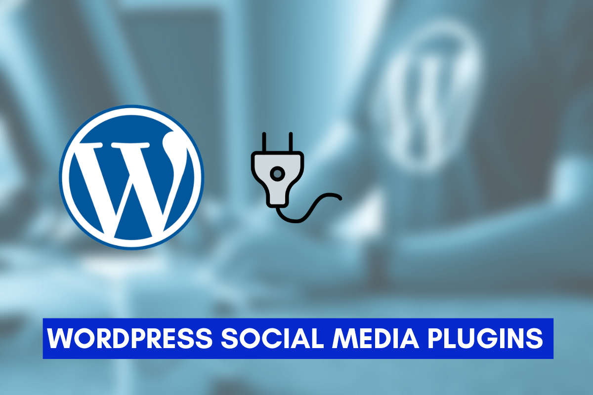 WordPress Social Media Plugin